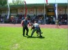Neues Bild (9).jpg
